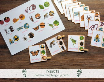 Bug Clip Cards Activity, Insect Visual Matching Printable, Preschool Fine Motor Game, Nature Learning, Spring Montessori materials