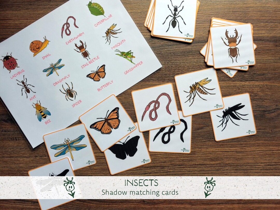 Insect Shadow Matching Activity | Montessori-based Bugs Learning Game ...