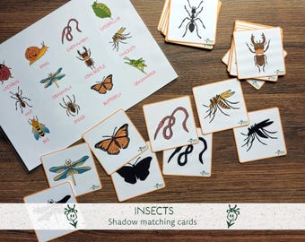 Insect shadow matching activity | Montessori-based bugs learning  game | Preschool visual skills Printable