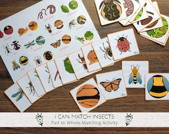 Insect Pattern Match Activity, Bug Part to Whole Matching Printable Game,  Preschool Visual Skills, Spring Montessori materials