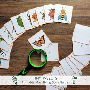 May include: A set of insect illustration cards and a magnifying glass. The cards display insects such as butterflies, bees, and beetles. The game is arranged on a wooden surface. The text at the bottom reads "TINY INSECTS Printable Magnifying Glass Game."