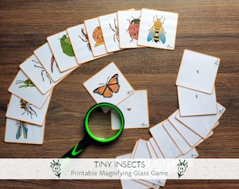 Insects Magnifying Glass Game, Tiny Bug Matching Printable, Preschool Observation Game, Nature Learning, Montessori Spring 