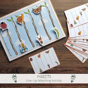 May include: An educational matching activity set featuring a rectangular board with five illustrated branches and various insect cutouts including a ladybug, snail, bee, butterfly, and caterpillar, accompanied by a stack of matching reference cards.