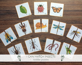 Insect Matching Activity, Insect Unit Printable, Toddler Symmetry Puzzle game, Spring Homeschool Activity, Busy Bags, Montessori Style