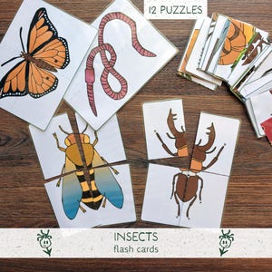 May include: A collection of insect-themed flash cards and puzzles. The cards feature colorful illustrations of insects like a butterfly, worm, bee, and beetle. The text "12 PUZZLES" is visible at the top, and "INSECTS flash cards" at the bottom.