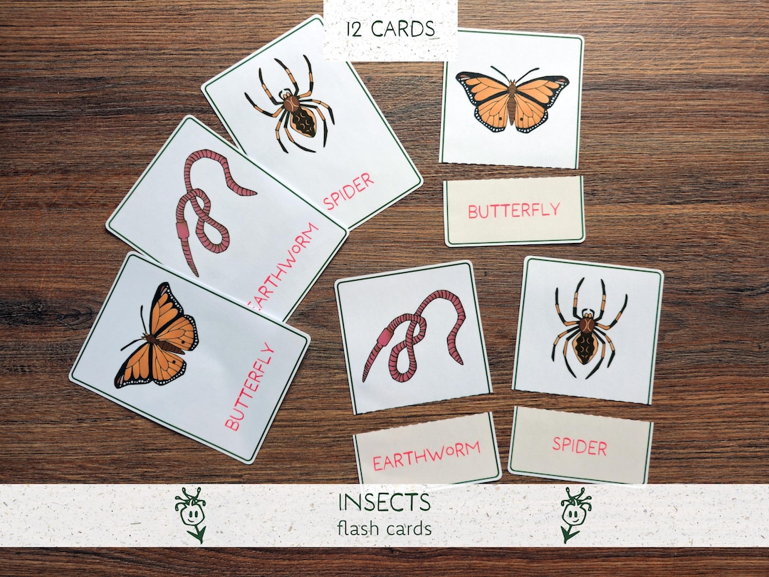 Bug Flashcards Printable | Insect Vocabulary & Reading Cards ...