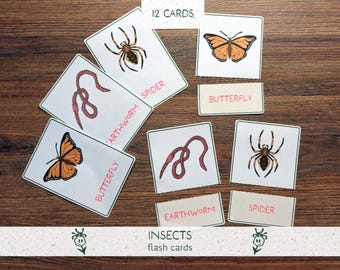 Bug Flashcards Printable | Insect Vocabulary & Reading Cards | Preschool Learning Activity | Nature Study Cards