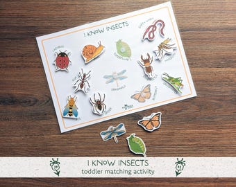 I Know Insects Printable, Insect Matching Activity, Preschool Nature Learning, Toddler Vocabulary Game  (Montessori inspired, printable PDF)