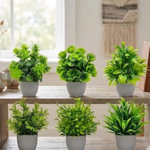 May include: Six small artificial plants in white pots. The plants feature diverse green foliage, with spiky, rounded, and leafy textures. The pots are arranged on a wooden shelf, creating a decorative display.