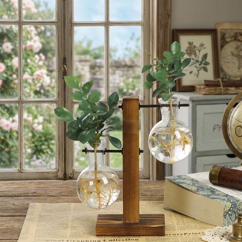 Angelo Design Vaso In Vetro Borosilicato Per Idroponica – Sospeso, Trasparente, Resistente Al Calore, Regalo Casa