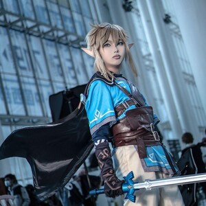 Zelda, Cosplay Costume, Outfit, Anime, Expo Events image 5