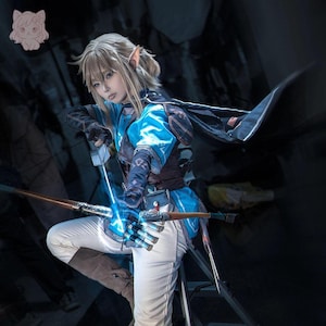 Zelda, Cosplay Costume, Outfit, Anime, Expo Events image 1