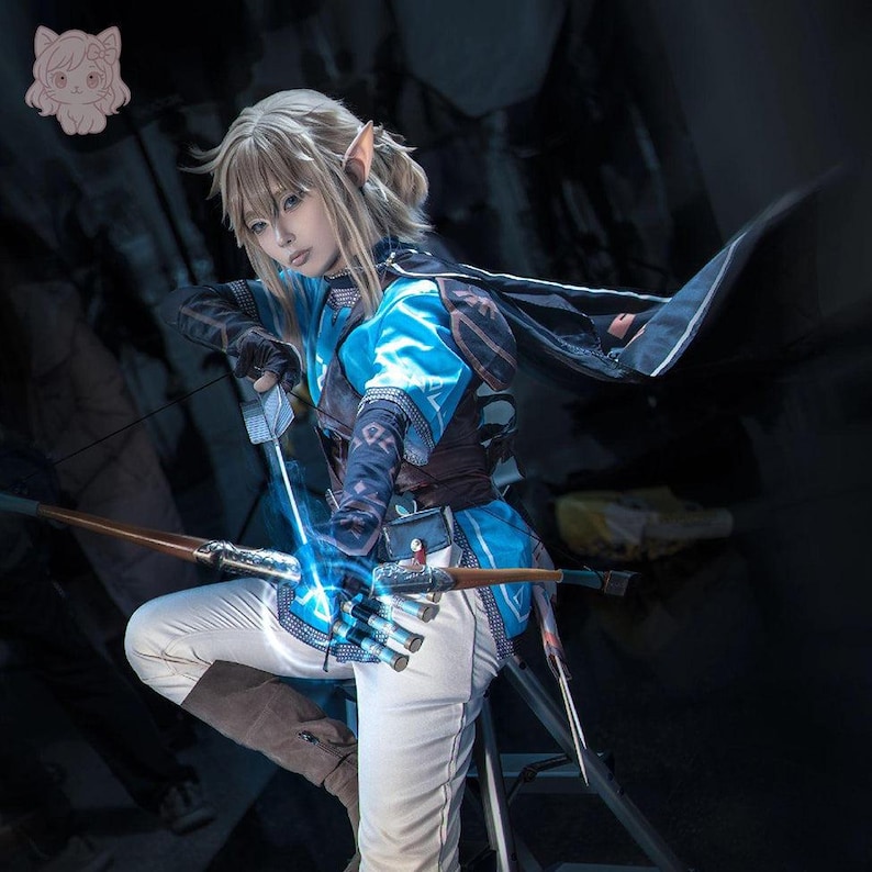 Zelda, Cosplay Costume, Outfit, Anime, Expo Events image 1