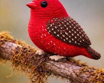 Modello realistico di pettirosso, modello di uccello a maglia in formato PDF, modello di pettirosso, download digitale