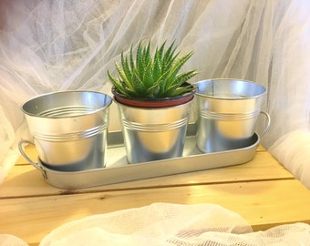 Galvanized tray with 3 planter pots,   galvanized flower pots, herb pots, rustic planter pots