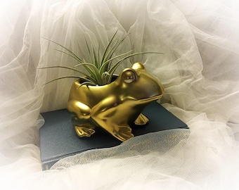 Gold frog planter , frog planter , planter, succulent container, frog figurines , collectible frogs, ceramic frogs, kitsch frog
