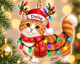 Personalized Cat Christmas Ornament, Custom Pet Name Ornament, Orange Tabby Cat Gift, 2D Flat Pet Christmas Decor, Cat Lover Keepsake Gift