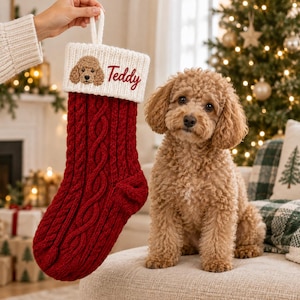 May include: A deep red cable-knit Christmas stocking featuring a white ribbed cuff. The cuff displays an embroidered brown poodle face and the name Teddy in red script. A white loop is attached to the top for hanging this holiday decoration.