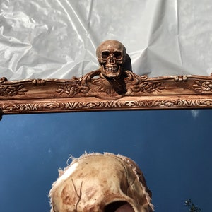 Creepy Haunted Halloween Spooky Gothic Style Skeleton Skull Mirror Prop image 6