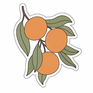 May include: A sticker depicting a branch with three orange fruits and green leaves. The fruits are a bright orange, and the leaves are a muted green. The design has a clean, minimalist aesthetic, suitable for adding a touch of nature to any surface.