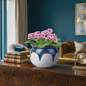 May include: A ceramic flower pot with a blue and white design, filled with vibrant pink and white flowers. The pot sits on a dark wooden surface, with a stack of books and a clock in the background. The flowers have green leaves.