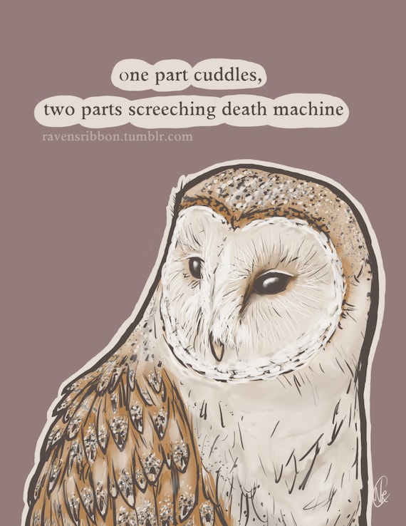cuddle barn owl