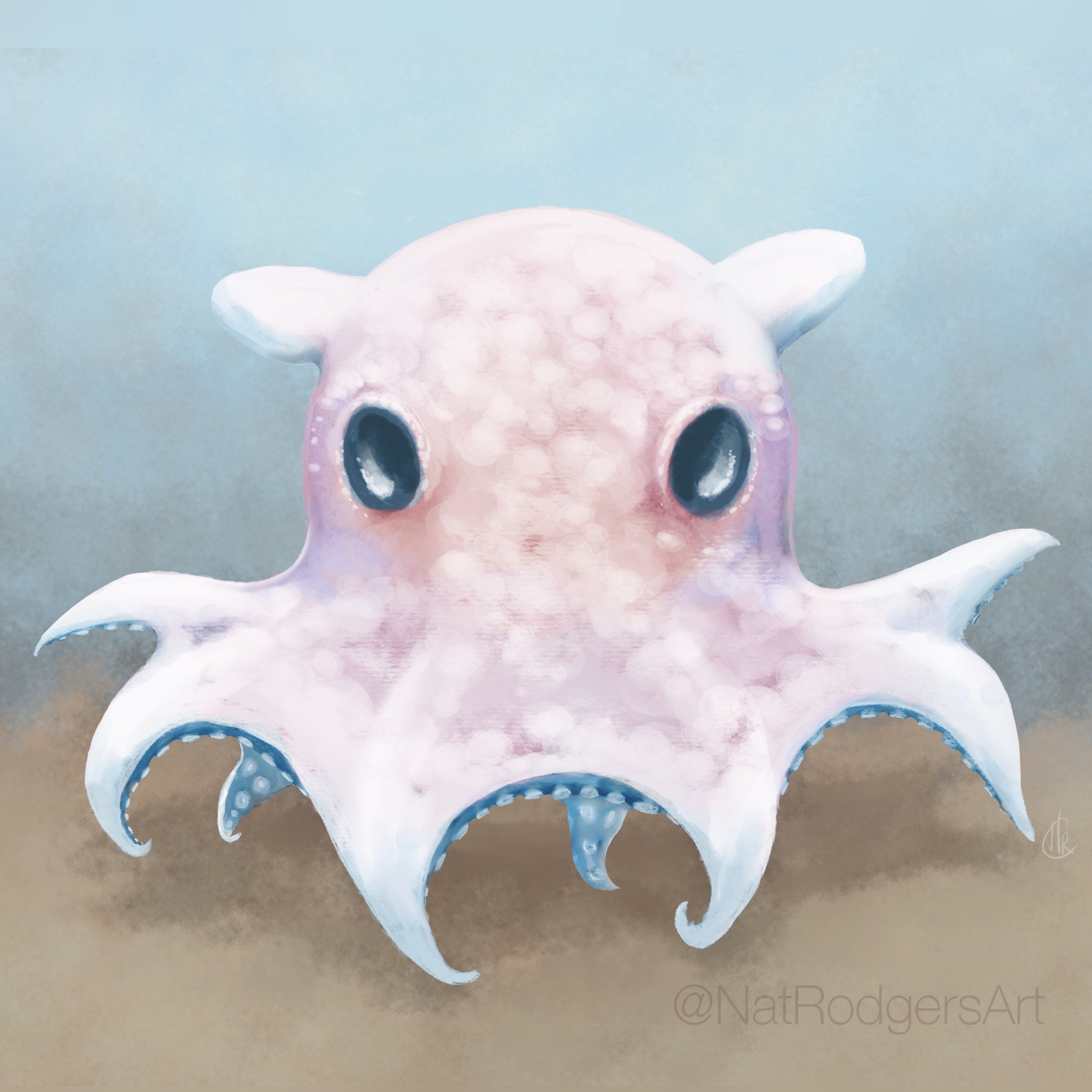 Dumbo octopus