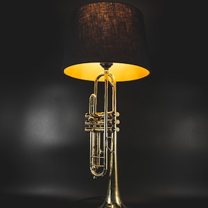 May include: A unique lamp featuring a gold-colored trumpet as the base, topped with a black lampshade. The interior of the shade is gold, creating a warm glow. The lamp is set against a dark background.