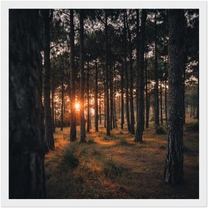 Classic Matte Paper Wooden Framed Poster