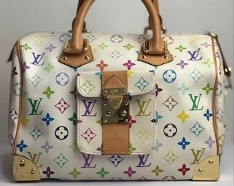 Vintage Louis Vuitton 30 Speedy Bag Multicolor