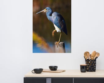 Tricolored Heron on Piling Photo paper poster