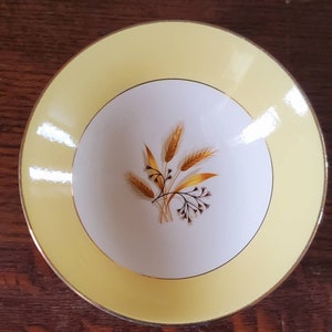 Centery Service Corporation Autumn Gold Dish