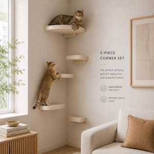 Conjunto de parede de canto para gatos, parede de escalada moderna para gatos, prateleiras de canto para gatos, degraus de parede para gatos, conjunto de móveis para gatos de interior