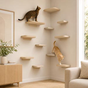 May include: A set of ten beige wall-mounted cat shelves arranged in a staggered pattern across a corner. Two cats are visible, one brown tabby standing on a high shelf and one orange tabby stepping between two lower shelves on the right side.