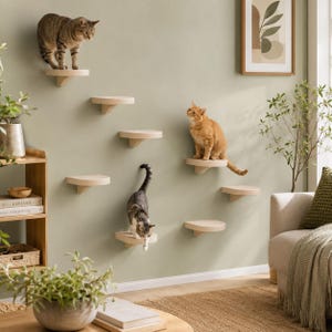 Modern Cat Furniture, Minimalist Cat Wall Shelves, Floating Cat Steps, Beige Cat Wall Shelf Set, Space Saving Cat Climbing Shelves