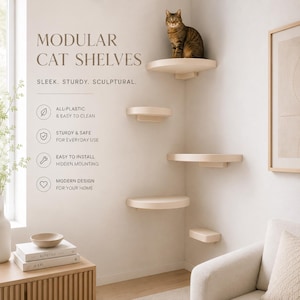 Scaletta da parete per gatti, scaletta per gatti da parete, mensola moderna per arrampicarsi con i gatti, mobile da parete per gatti da interni, mensola in plastica per gatti