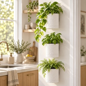 Op de afbeelding: Drie witte, cilindervormige wandplantenbakken met een gestructureerd ruitpatroon, elk met een andere groene kamerplant. De plantenbakken zijn verticaal aan een muur bevestigd en bevatten een hangende pothos, basilicum en een varen.
