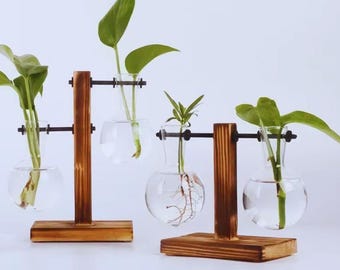 Vaso per terrario idroponico • Bottiglia di vetro per la propagazione delle piante • Decorazione verde per scrivania e ufficio