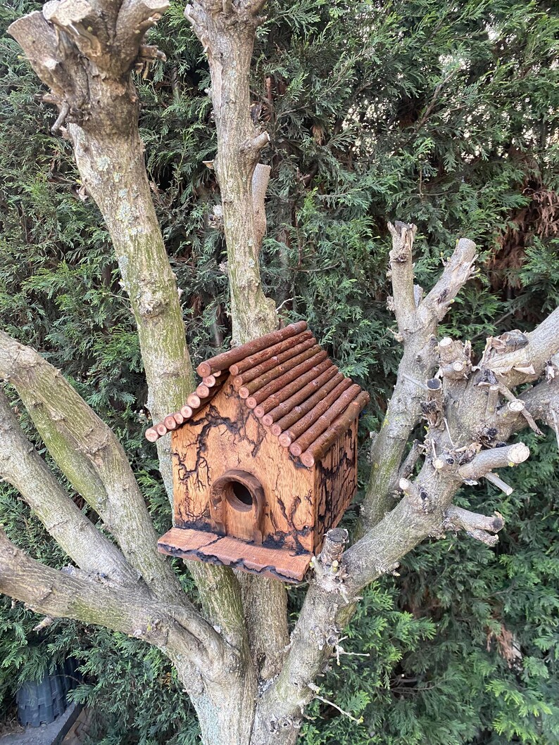 Handmade Fractal Burned Walnut Birdhouse, Rustic Twig Roof Garden Decor ...