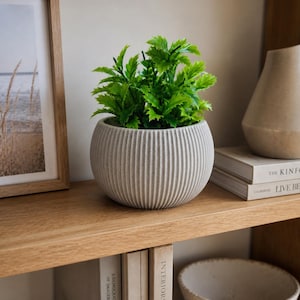 May include: A small, round, light grey planter with vertical ribbed detailing contains a vibrant green plant. The planter sits on a wooden shelf with books and a framed picture. The overall aesthetic is minimalist and modern.