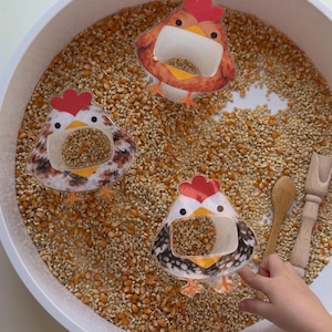 May include: A sensory bin filled with corn kernels and three chicken-shaped cutouts. The chickens have red combs and yellow accents. A small wooden spoon and scoop are also present, suggesting a play-based learning activity.