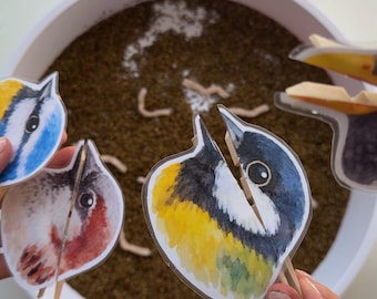 May include: Watercolor bird cutouts in blue, yellow, and red hues are held over a white bowl filled with brown material and small wooden pieces. The bird cutouts are on wooden sticks.