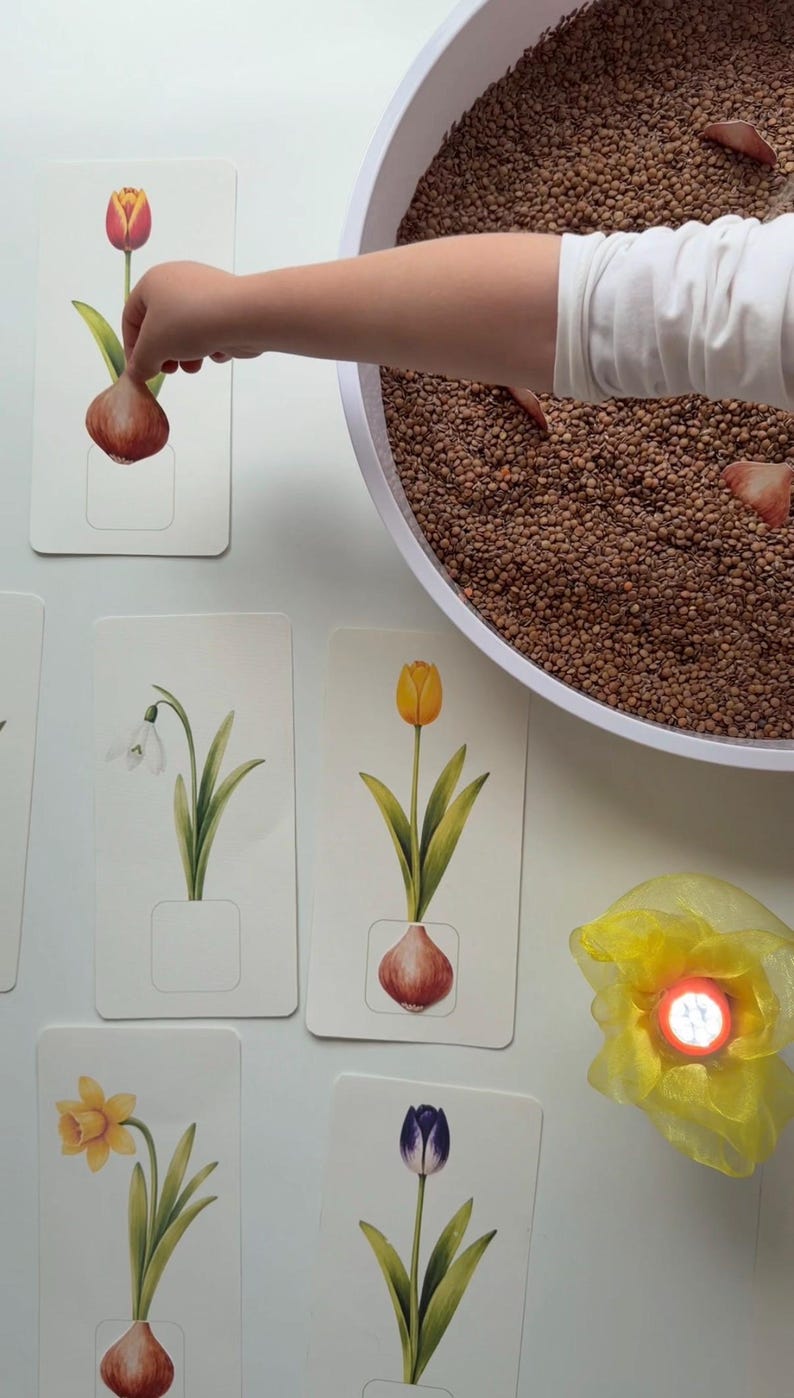 Flower Bulb Matching Game - Spring Flower Learning Game for Children - Etsy
