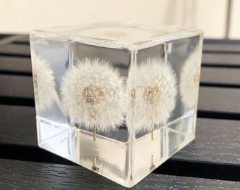 Real Dandelion Resin Paperweight | Clear Cube Flower Specimen Desktop Ornament | Botanical Aesthetic Room Office Decor | Nature Lover Gift