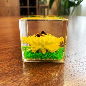 May include: A clear resin cube containing a bright yellow chrysanthemum flower and two small bees resting on the petals. The base of the cube features a layer of vibrant green moss-like material, creating a preserved botanical display.