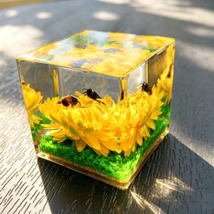 May include: A clear resin cube containing bright yellow chrysanthemum flowers and several small dark insects. The base of the cube features a layer of vibrant green moss, creating a preserved botanical display encased within a smooth, transparent geometric block.