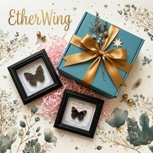 May include: Two square black frames containing butterfly specimens, one labeled 'Dozocopa Cherubina', alongside a teal gift box tied with a gold ribbon and topped with dried flowers and a star ornament, all resting on a surface with floral art.