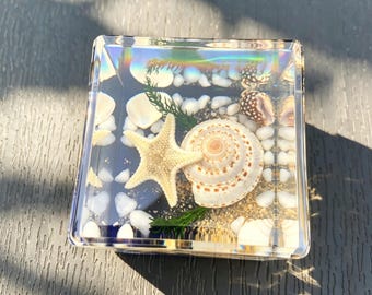 Ocean Beach Resin Paperweight | Preserved Real Starfish Seashell Ornament | Coastal Desktop Decor | Gift for Ocean Lovers