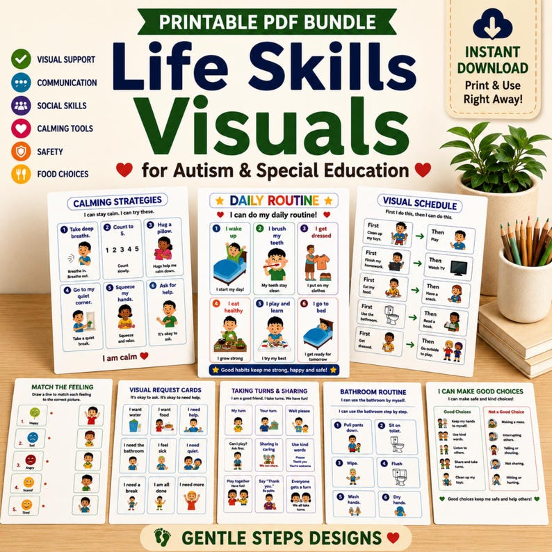 Visual Support Bundle for Autism and Special Education, Life Skills ...