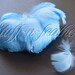 NeviusAileen reviewed Goose feathers Light Blue, Baby Blue feathers goose coquille for for millinery, crafts, small real feathers, 2-4 in (5-10 cm) long / F206